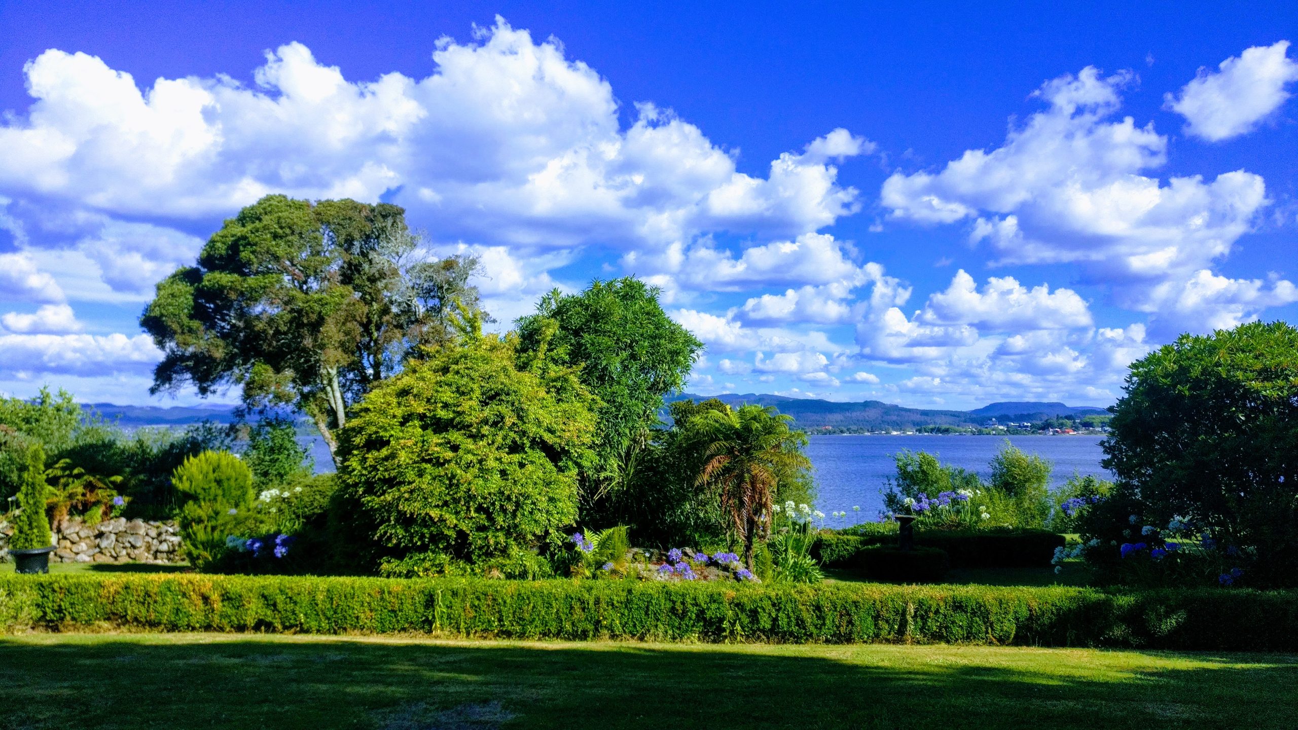 IMG_20211231_173745-EFFECTS